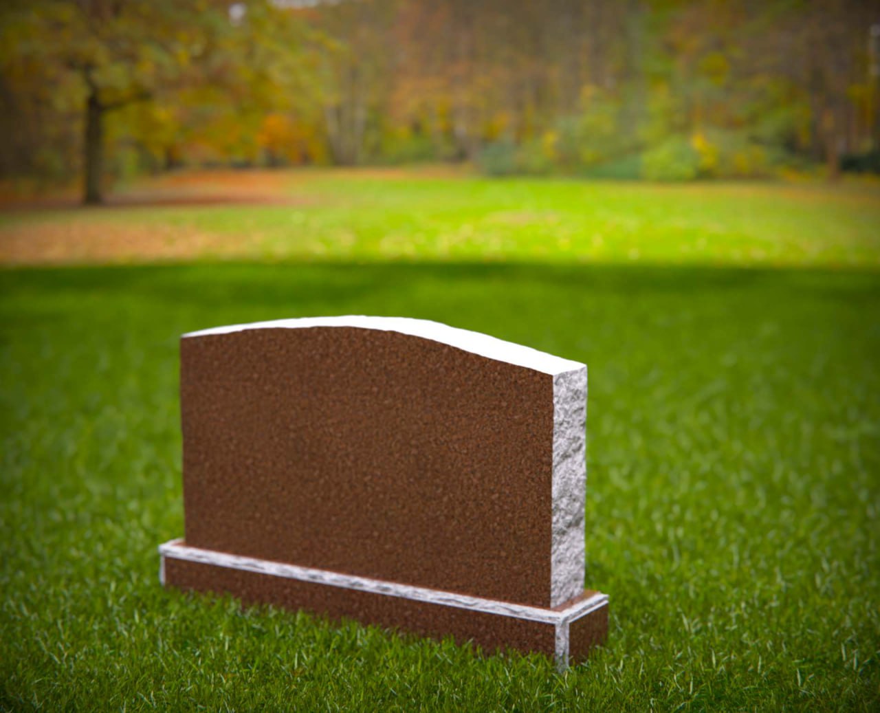 photo_2026-01-22_13-29-44.jpg Companion Serpentine Upright - Image 1