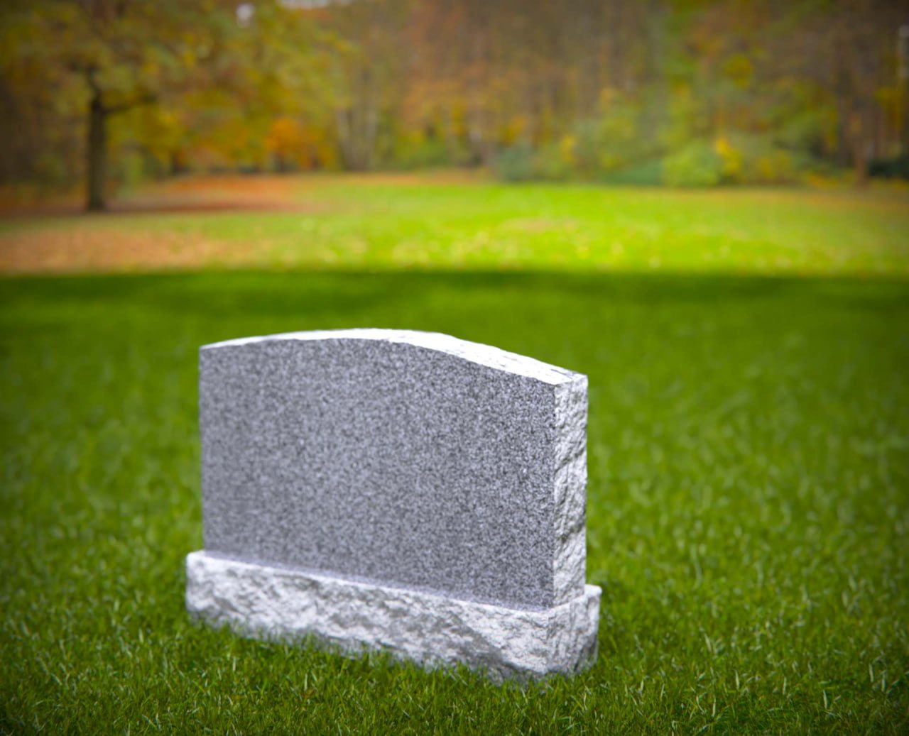 photo_2026-01-22_19-48-24.jpg Serpentine Single Upright - Image 1